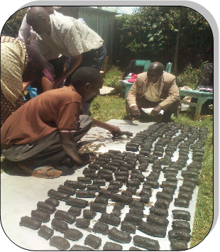 Briquettes Production